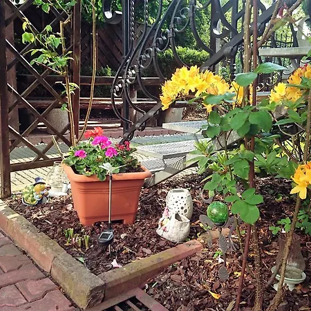 Sarenka 3* Miedzyzdroje