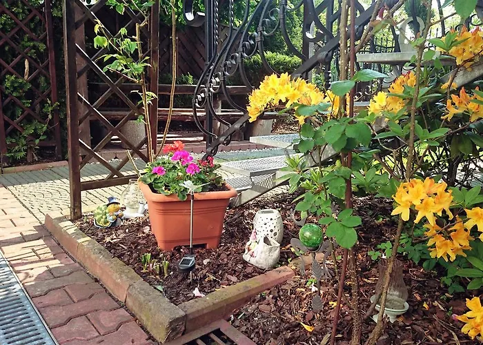 Sarenka 3* 米兹多洛杰